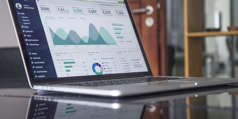 Marże software house